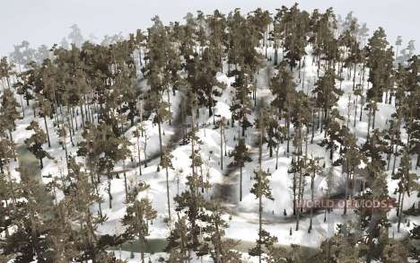 Frogs Winter   2 for Spintires MudRunner
