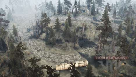 Forest Game. Variant 2: Autumn forest cutting for Spintires MudRunner