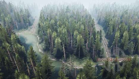 Pine Forest. Variant  2 for Spintires MudRunner