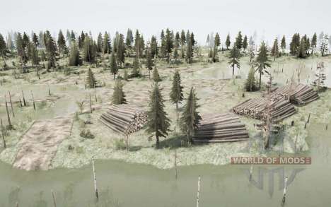 The     Forest for Spintires MudRunner