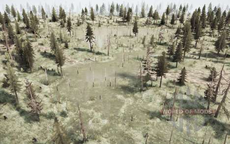 The     Forest for Spintires MudRunner