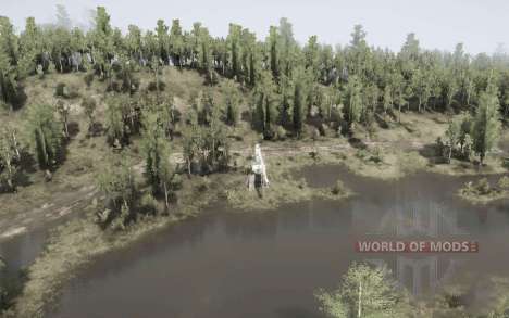 Deciduous     Forest for Spintires MudRunner