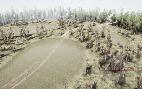Eh, the  roads for Spintires MudRunner