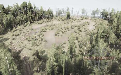 For  the for Spintires MudRunner