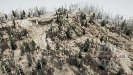 Gathering the Forest for Spintires MudRunner