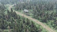 Swamp    Forests for Spin Tires