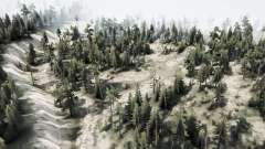 Forest  Roads for MudRunner