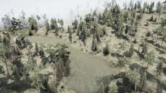 The    Forest for MudRunner