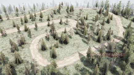 Map              Forest for MudRunner