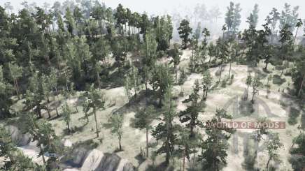 Map            Forest for MudRunner