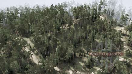 Map  Backwoods for MudRunner