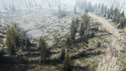 Rare  Forest for MudRunner