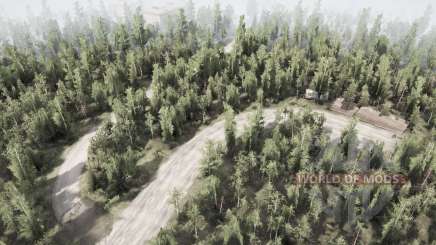 Map             Forest for MudRunner