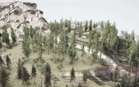 We are transporting     timber for Spintires MudRunner