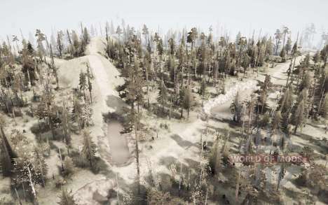 Map  Ruts for Spintires MudRunner