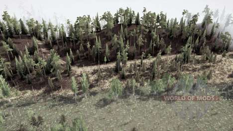 Over the Hills and Through the  Forest for Spintires MudRunner