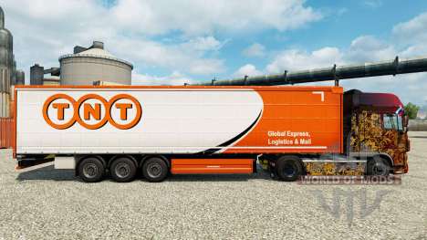 Skin TNT for Euro Truck Simulator 2