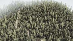 Sirgotcha National   Forest for MudRunner