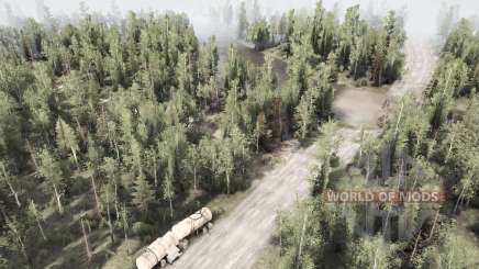 Map                   Forest for MudRunner