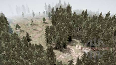 In forests and swamps for Spintires MudRunner