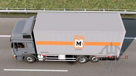 MAN F2000 BDF Oslo Gray for Euro Truck Simulator 2