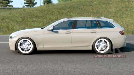 BMW M5 Touring Concept Style (F11) Bison Hide for Euro Truck Simulator 2