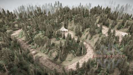 Forest Road for Spintires MudRunner