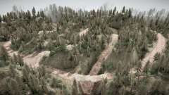 Forest Road for MudRunner